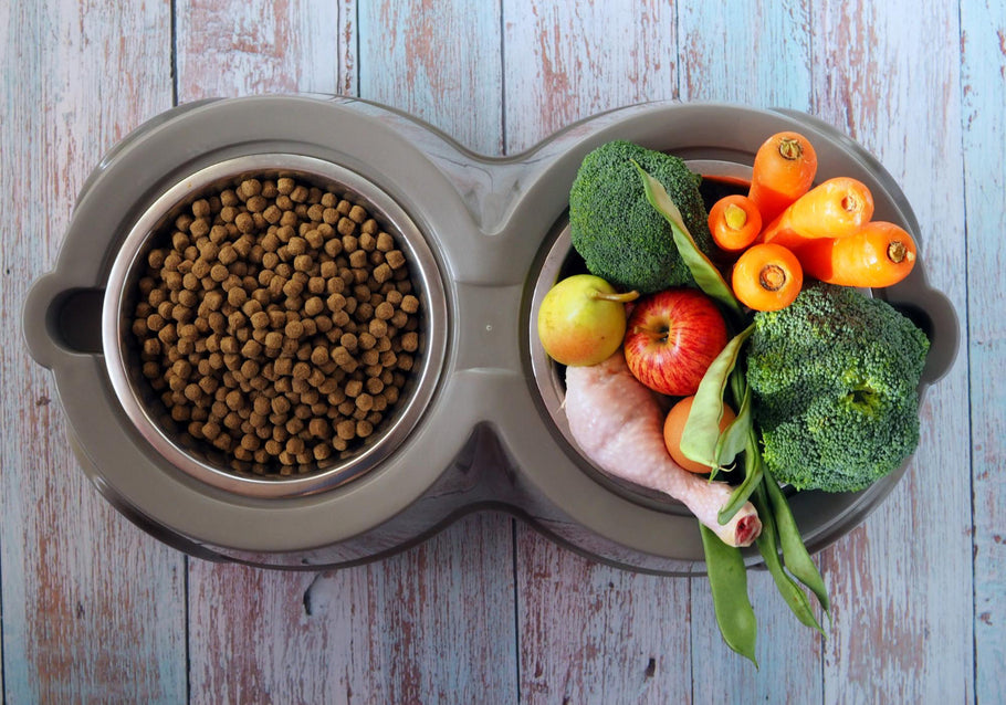 Alimentación Saludable para Perros