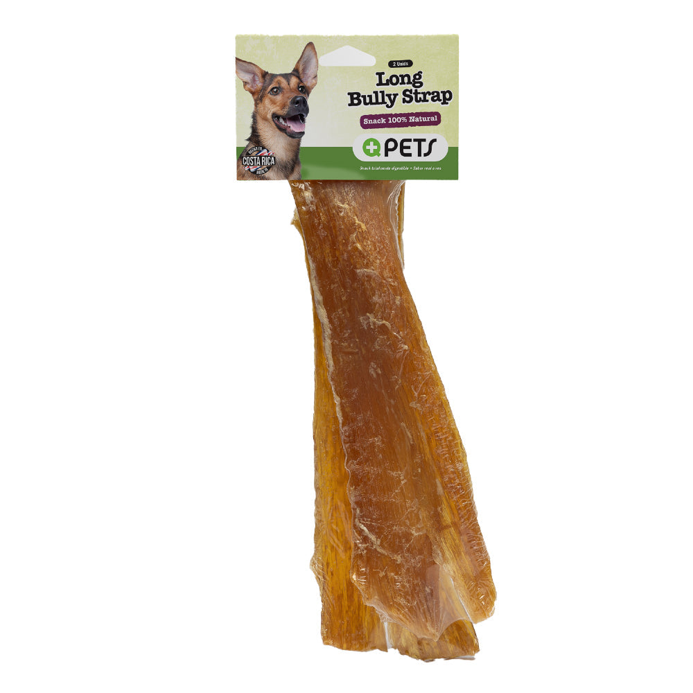 +QPETS DOG LONG BULLY STRAP 2UND
