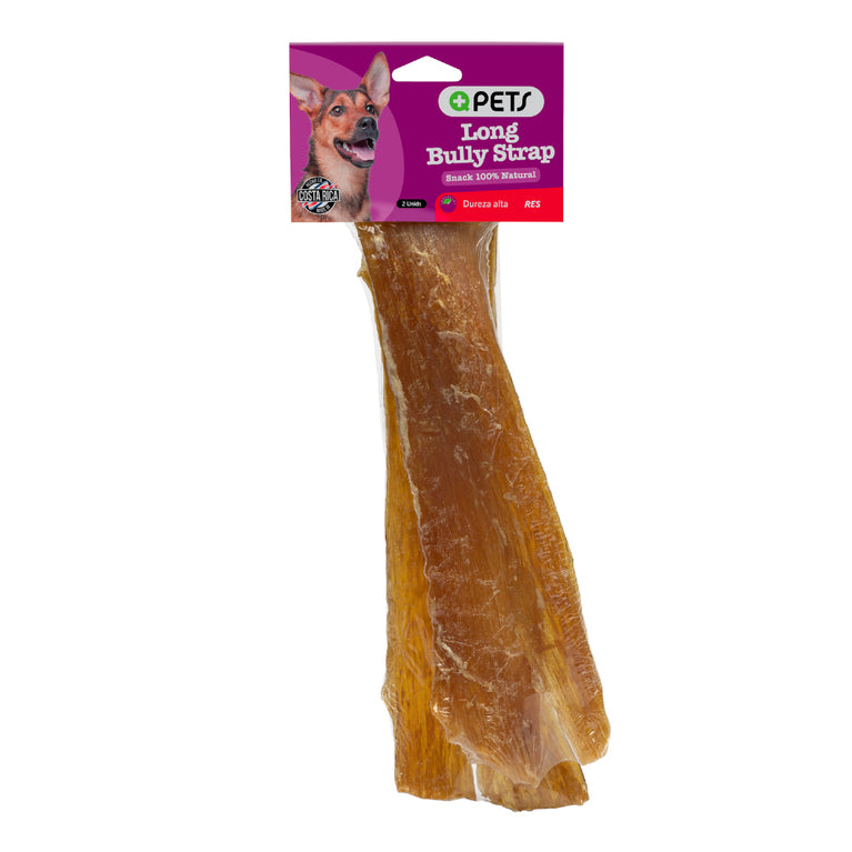 +QPETS DOG LONG BULLY STRAP 2UND