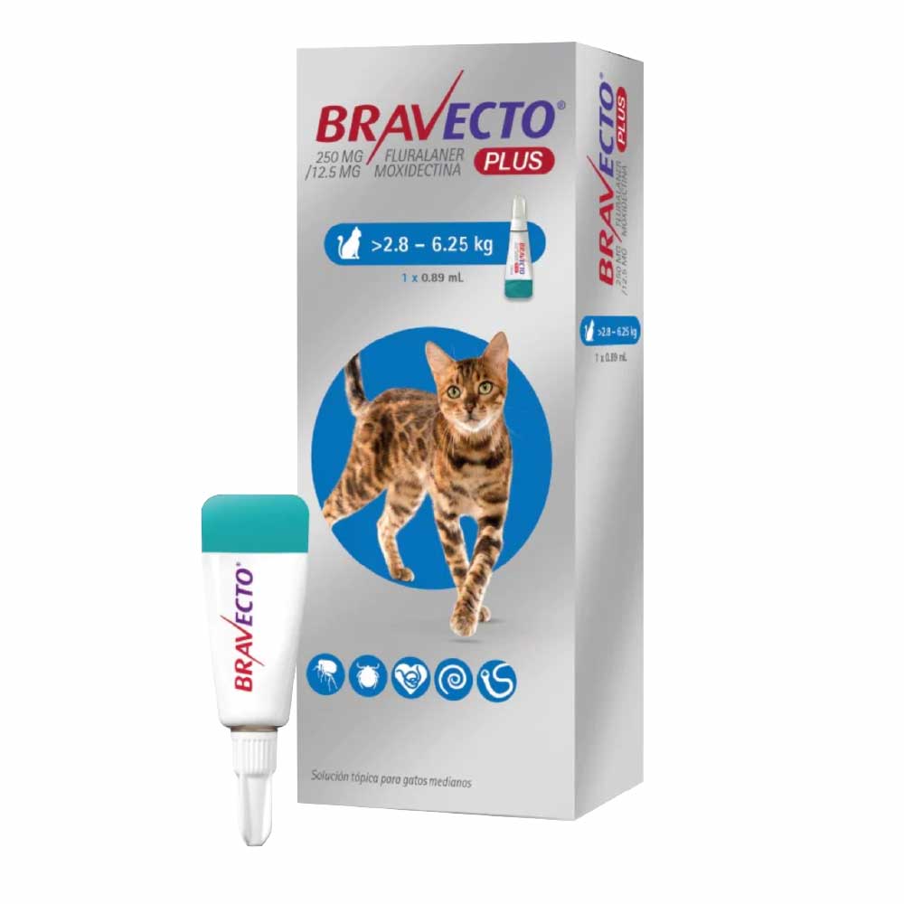 BRAVECTO FELINO 250MG (2.8-6.25KG)