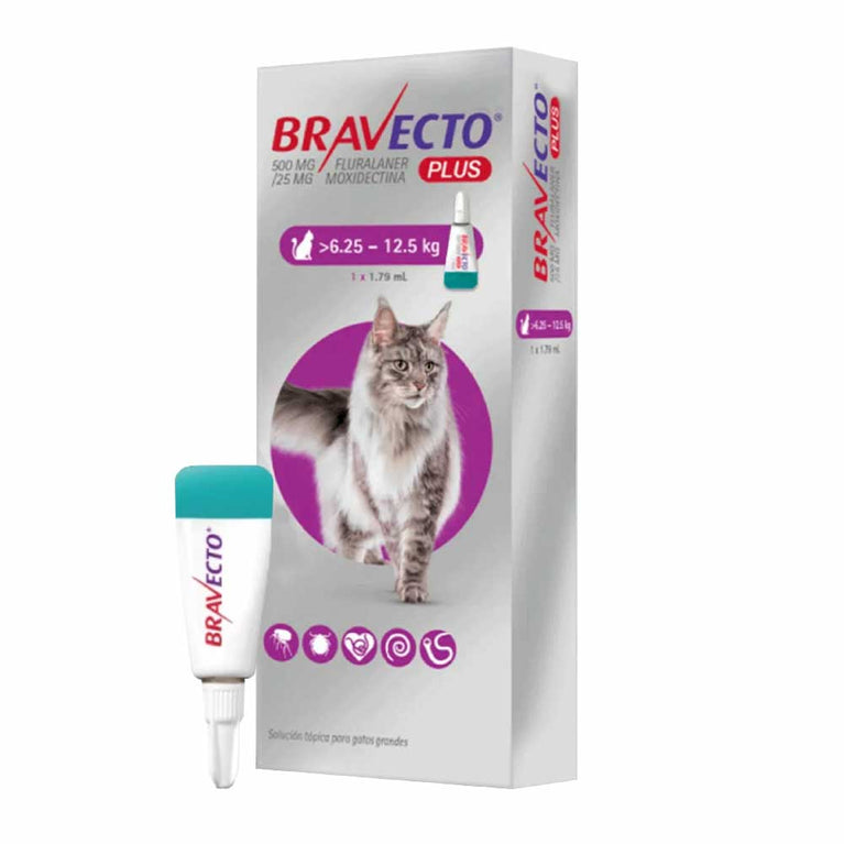 BRAVECTO FELINO 500MG (6.25-12.5KG)
