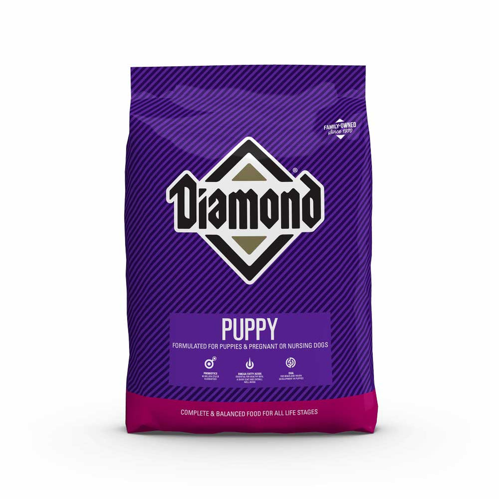 DIAMOND DOG PUPPY