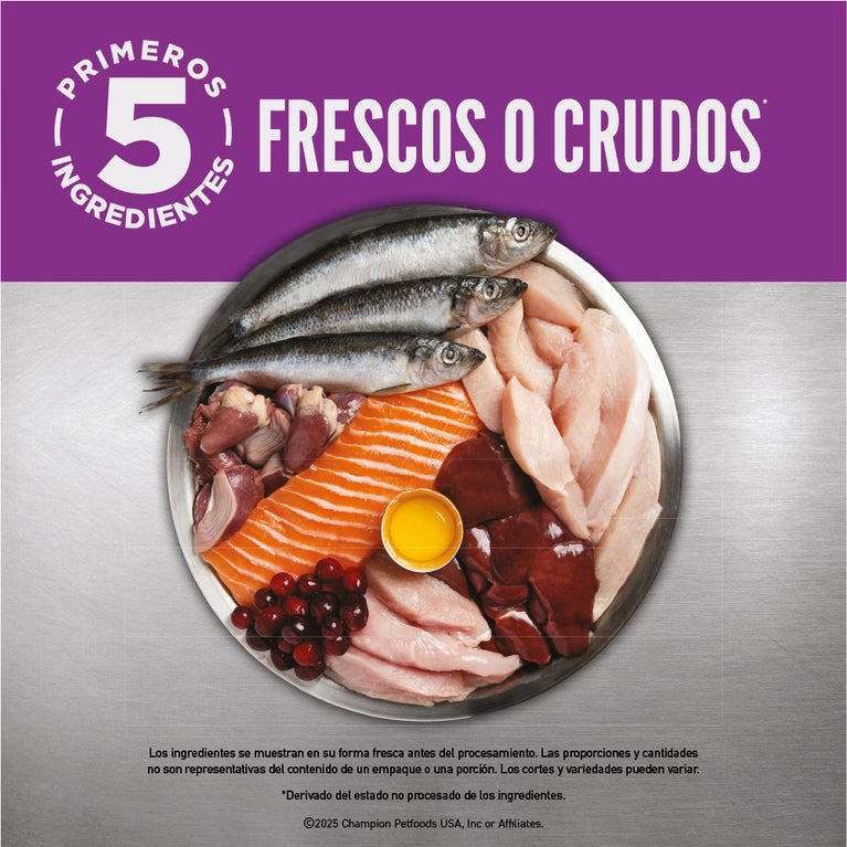 ORIJEN CAT KITTEN 4LB