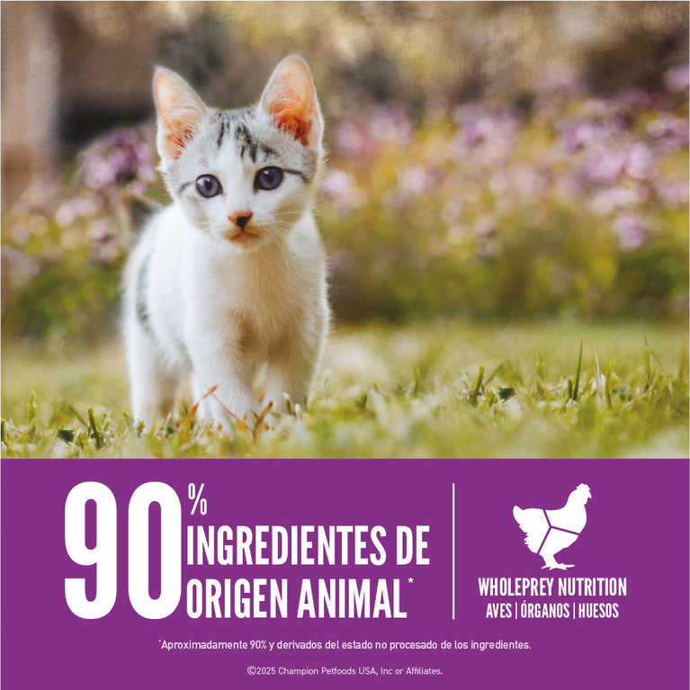 ORIJEN CAT KITTEN 4LB