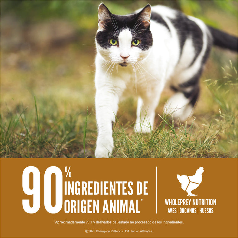 ORIJEN CAT ORIGINAL 4LB