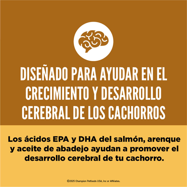 ORIJEN DOG PUPPY 4.5LB