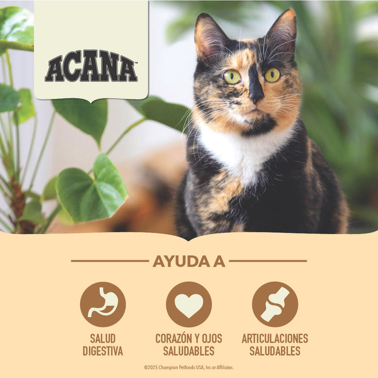 ACANA SENIOR ENTRÉE CAT 4LB