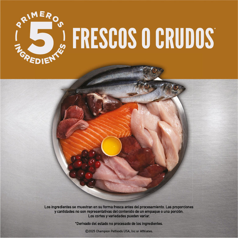 ORIJEN CAT ORIGINAL 4LB