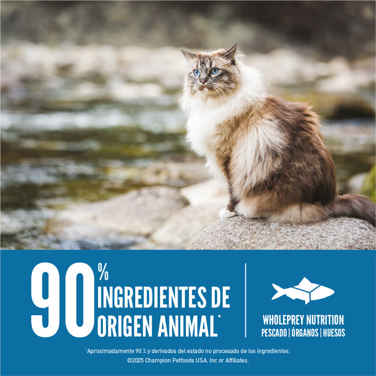 ORIJEN CAT SIX FISH 4LB