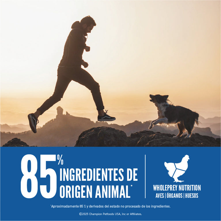 ORIJEN DOG ORIGINAL 4.5LB