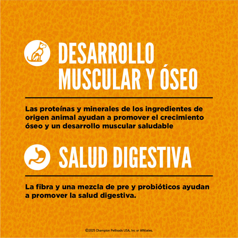 ORIJEN DOG PUPPY 4.5LB