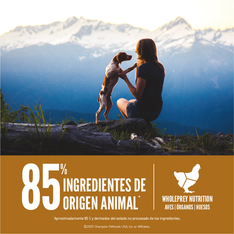 ORIJEN DOG PUPPY 4.5LB